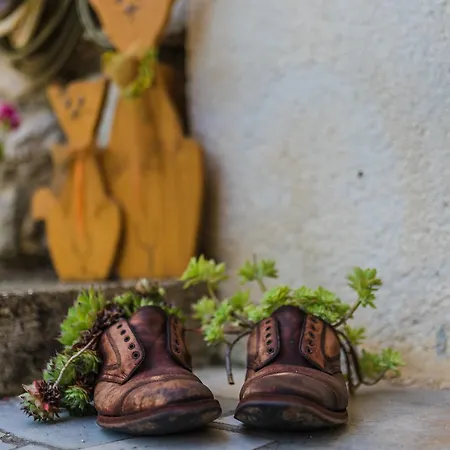 House Gloria شقة *